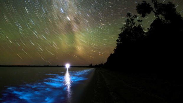 Gippsland's Lake Victoria is aglow at night.