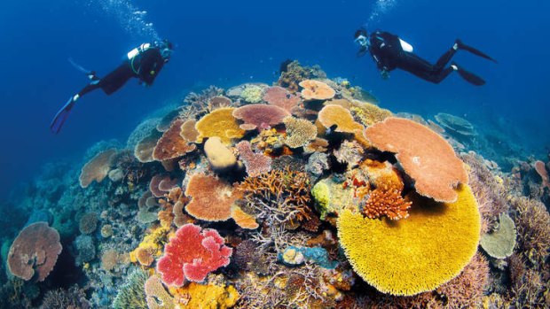 The Great Barrier Reef has shrunk by about half in the past 27 years.