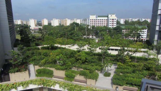 Peter Newman says sustainable living will be at the heart of a cleaner and greener Perth like these green views at KTP Hospital, in Singapore. 