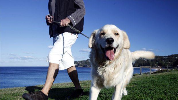 A lack of open space is seeing a decline in pet ownership in Australia.
