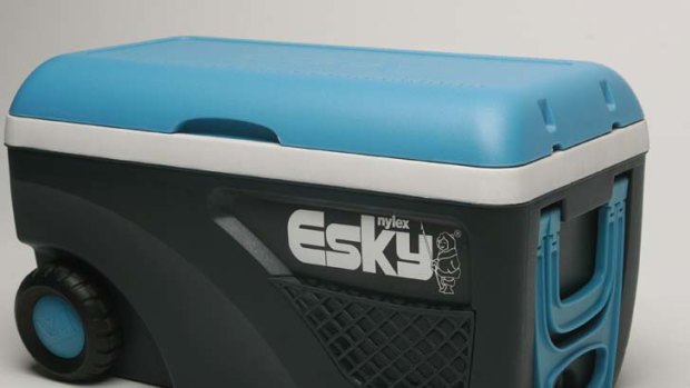 Unlikely critic: the Esky