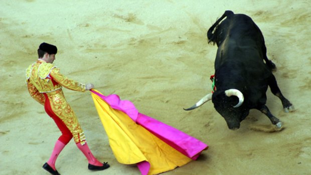 Caped crusader ... a matador takes on a bull.