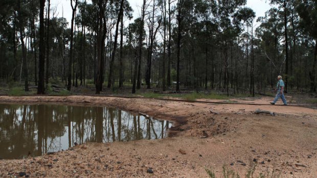 Environmental groups are concerned about the risk of water contamination in the Pilliga Forest.