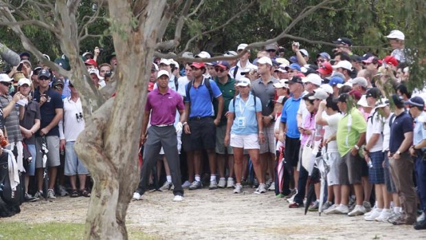 Main attraction ... fans watch Tiger Woods in action today.