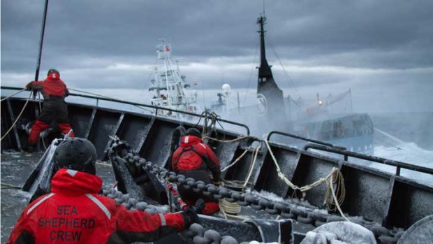 Sea Shepherd conservationists said their ship was attacked by Japanese whaler Nisshin Maru in the Antarctic.