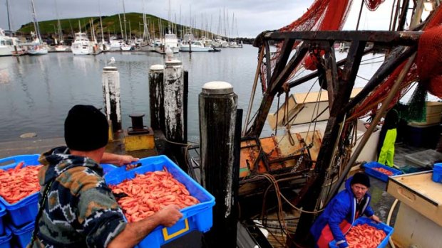 "It's like a large weight has been lifted off everybody's shoulders" ... skipper Ian Perry and deck hand Jason McMahon unload king prawns at Coffs Harbour.
