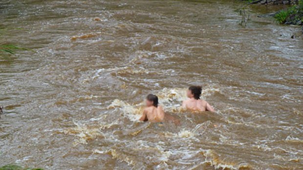 brisbanetimes.com.au reader Soph Harris took this photo of two boys swimming in flooded Ithaca Creek this morning.
