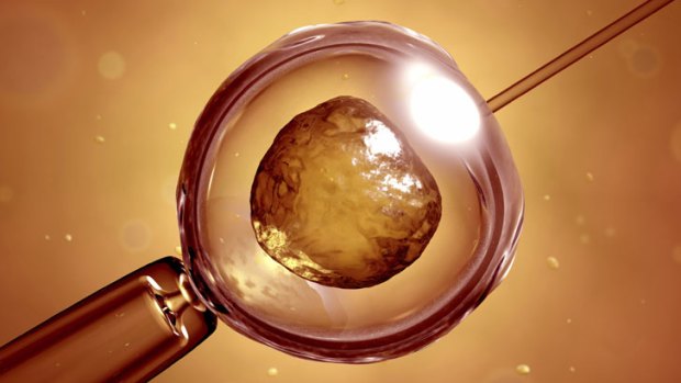 A human skin cell was used to create a cloned human embryo.