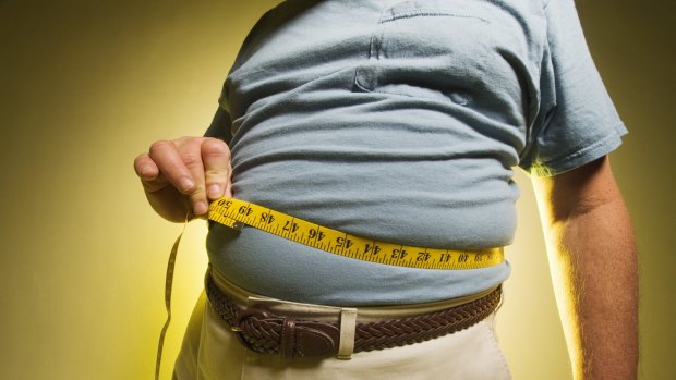 Researchers looked at the impact of obesity on brain structure across the adult life span. 