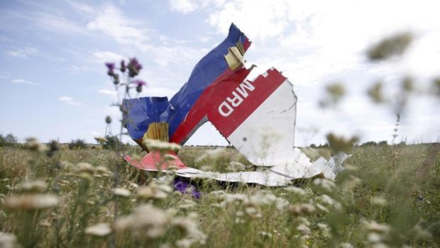 Part of the wreckage of Malaysia Airlines Flight MH17.