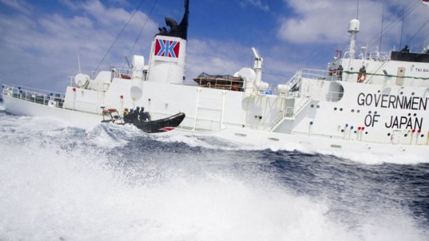 A small boat from the Sea Shepherd vessel, <i>Steve Irwin</i>, makes a reconnaissance trip past the Japanese whaling ship <i>Shonan Maru #2</i> near Freemantle in January 2012.