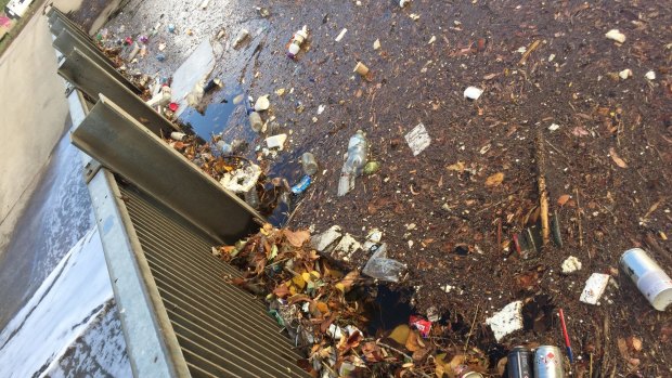 Gregory Andrews is launching a push to clean up Canberra after he came across this waterway clogged with rubbish.
