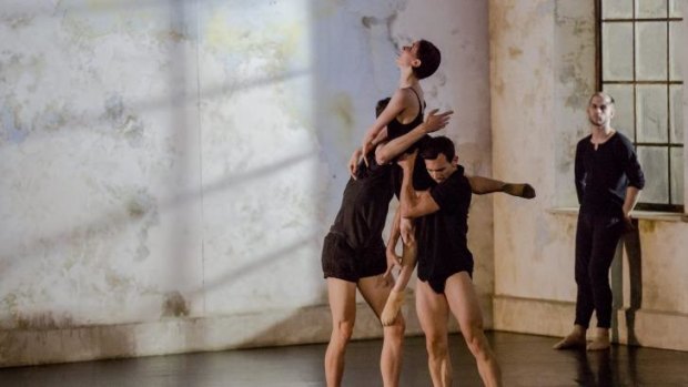 Members of the Sydney Dance Company. 