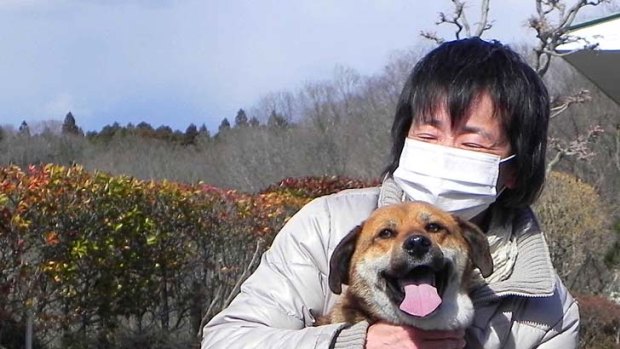 Ban, the dog found floating on debris off Japan, is reunited with her owner.