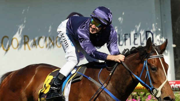Easy does it: Atlantic Jewel wins the Thousand Guineas, one of her five straight victories.