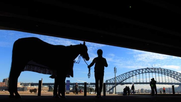 Off to a flying start in Sydney ... Melbourne Cup fever begins at the Opera House yesterday during a promotional visit for the race that stops a nation.