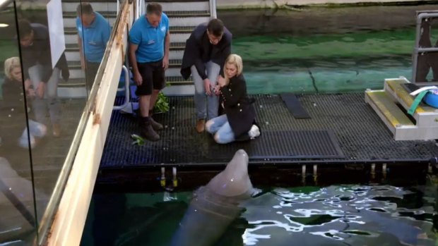 Sophie checks on Stu's vasectomy after meeting a frightening dugong.