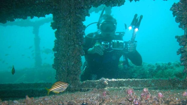 Joys of wrecks... the former HMAS Adelaide is a popular artificial reef.