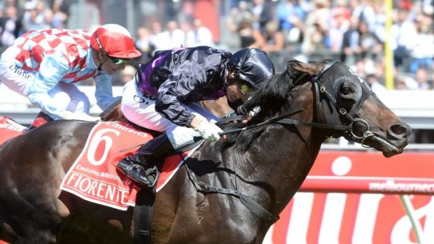 Star client: Melbourne Cup winner Fiorente recently had the Muskoka Farm treatment. "Such an athletic horse, he would never get too heavy," says vet and trainer Wendy Lapointe.