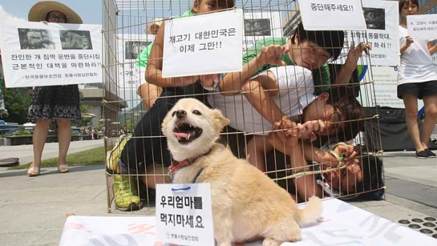 Protest ... animal rights activists rally against the eating of dog meat.
