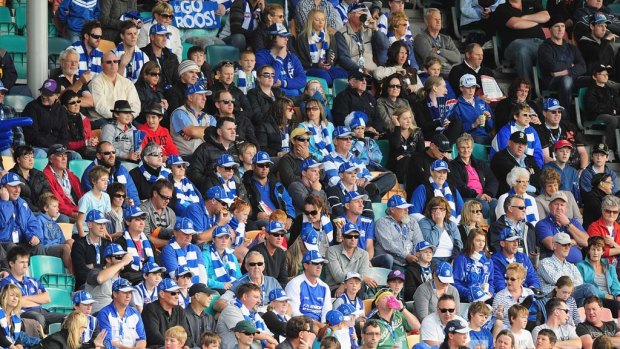 Strong North Melbourne support at Blundstone Arena.