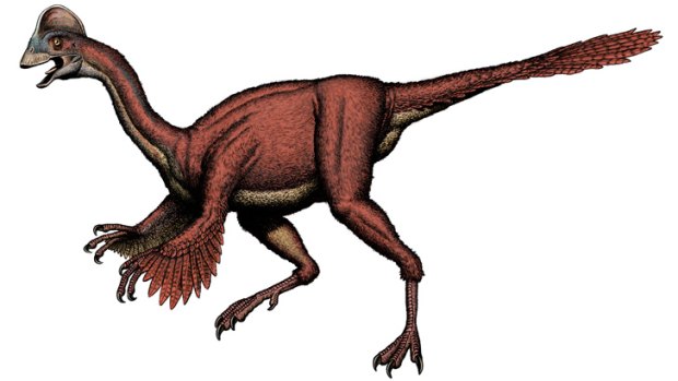 'This group of dinosaurs looks really bizarre even by dinosaurian standards': an artist's impression of the giant oviraptorosaur.