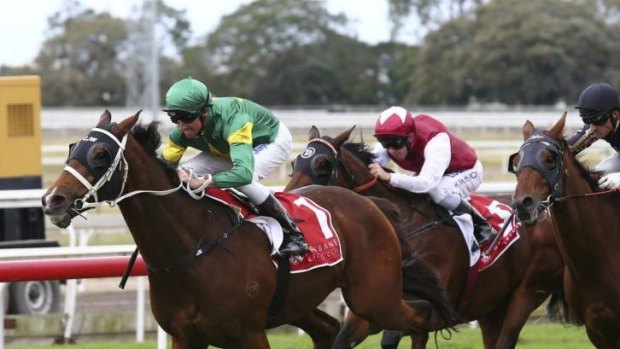 Confident: Nash Rawiller wins with Moriarty at Eagle Farm on Saturday.