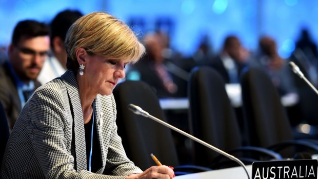 Julie Bishop at the UN climate change conference in Lima last year.