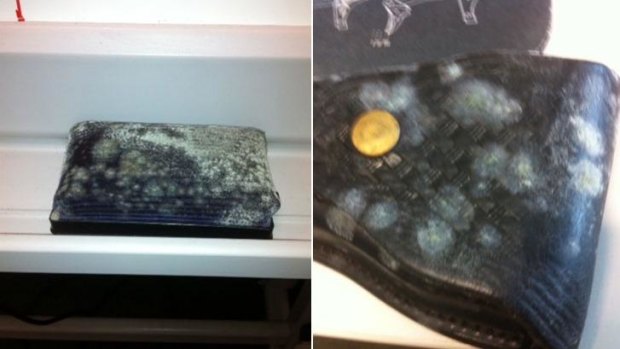 Whiteboard duster and a handcuff pouch covered in mould at Karratha police station in 2012.