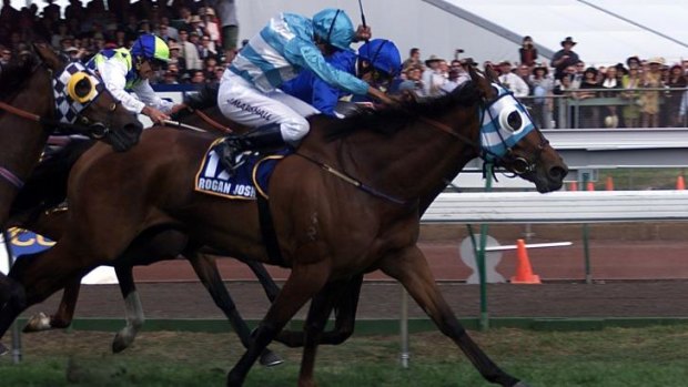 Rogan Josh: The dark horse of the 1999 Melbourne Cup.