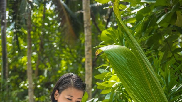 Luxury resorts often cater to guests wanting a massage treatment in the outdoors.