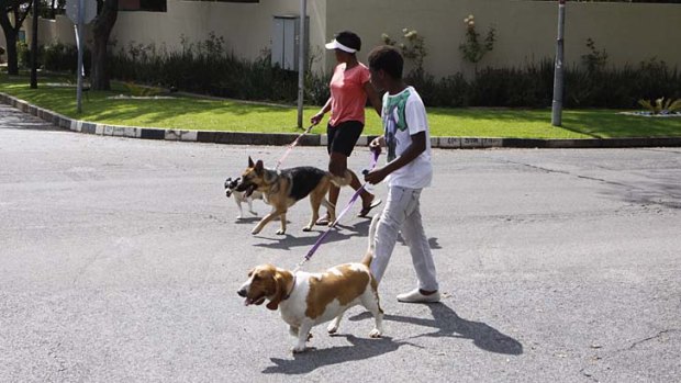Walking the dog ... black pet owners tweeted pictures to Jacob Zuma.