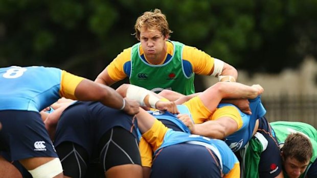 Overcoming adversity: Stephen Hoiles packs down at training.