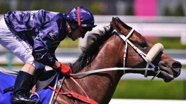 Next step: Zoustar and Jim Cassidy winning the Coolmore Stud Stakes at Flemington.