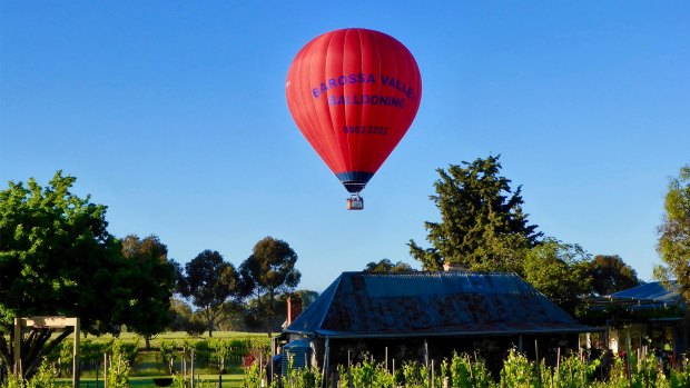 You'll get 360-degree panoramic views over the Barossa.
