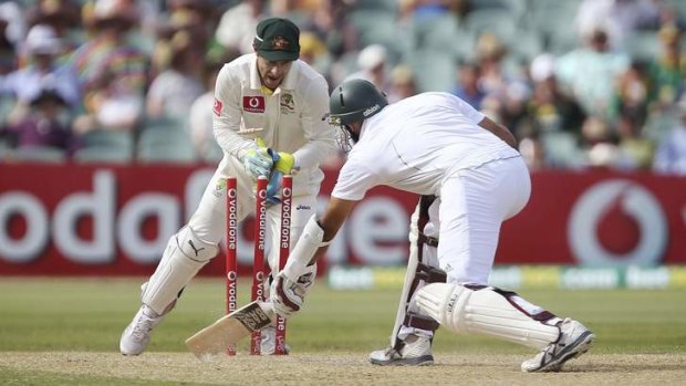 Got him: Matthew Wade stumps South Africa's Hashim Amla in the second Test in Adelaide.