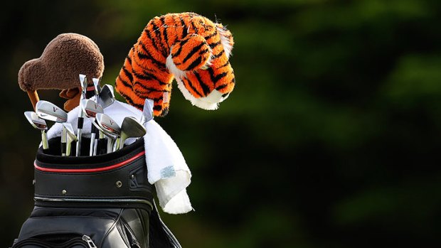Caddies can be tigers when it comes to improving a player's performance, it is said.