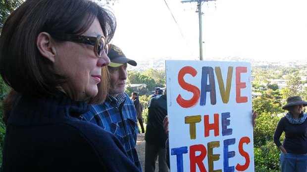 Protesters rally near the fig trees in Windsor.
