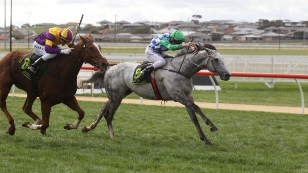 Brad Rawiller rides Puissance De Lune to victory in the Fresha Fruit Juices Handicap in Warrnambool in May 2012.