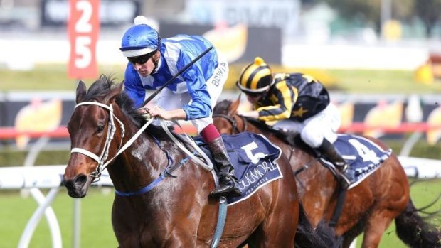 Doing the family proud: Winx takes the group 2 Furious Stakes at Randwick to cap a stellar month for her sire, Street Cry.