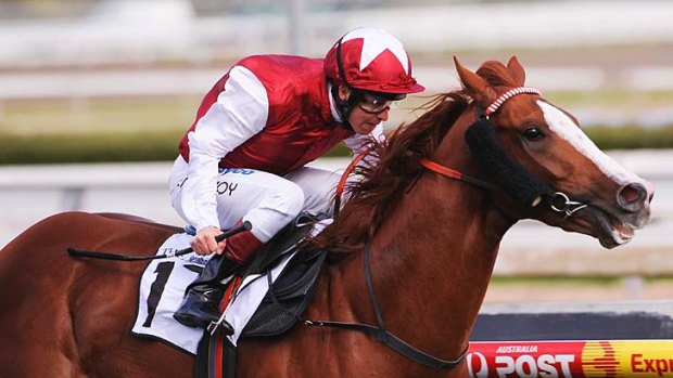 Well placed: Helmet is on his best behaviour as he races to victory at Caulfield yesterday.