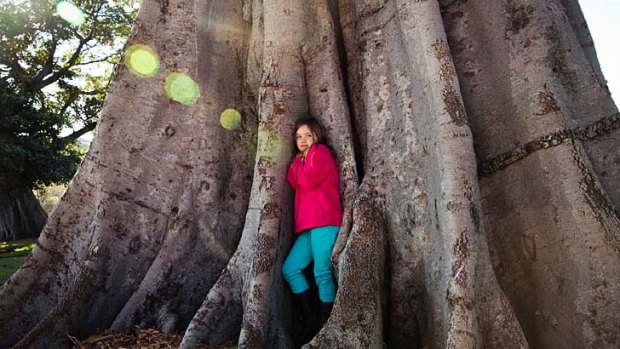 In focus: Isabella Monro's <em>The Big Fig Tree</em> features in the Sydney Life photography competition.