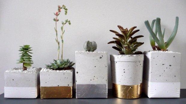 Indoor houseplants: no green thumb necessary to keep them living.