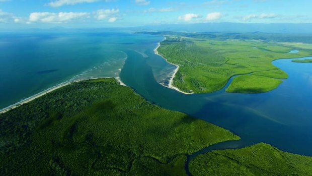 Areas such as Daintree National Park will be assessed by scientists.