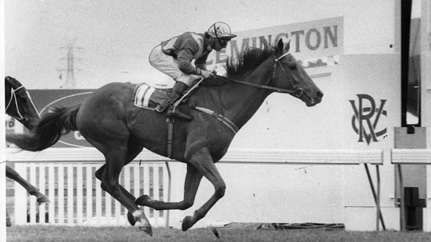 Jockey Jim Cassidy winning the 1983 Melbourne Cup on Kiwi.