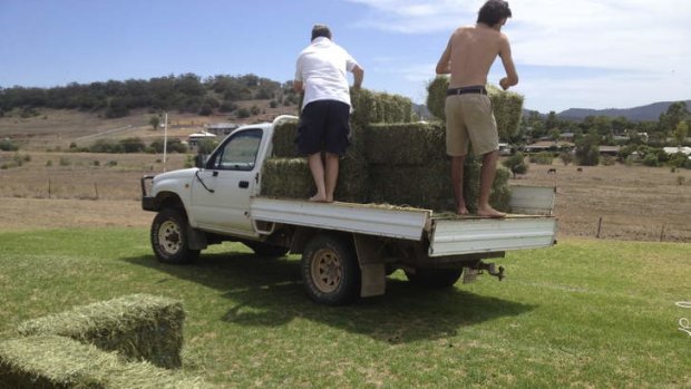 Step1: Layout 14 bales of hay in the shape of a pool.