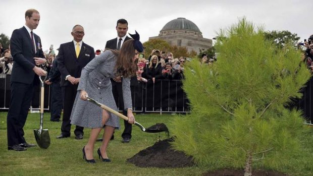 Catherine, Duchess of Cambridge, uses a shovel to place dirt at the base of a tree as her husband Britain's Prince William watches with officials at the Australian National War Memorial.