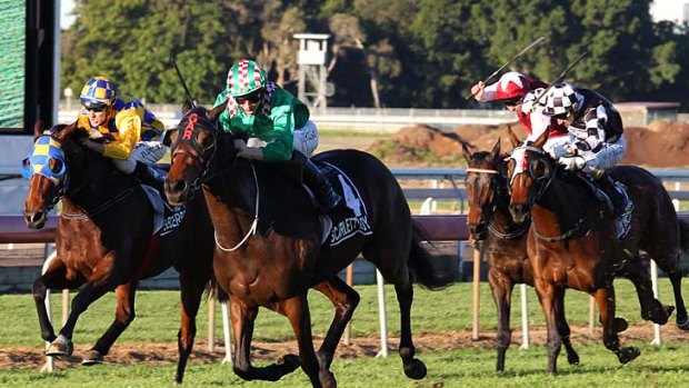 Red-letter day: Favourite Scarlett Lady runs away with the Queensland Oaks.