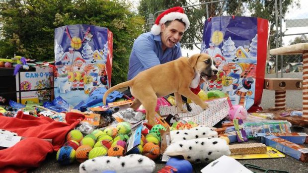 Marco Arquero, a nurse at Canberra Hospital, delivers the Christmas presents to pets at the RSPCA in Weston.