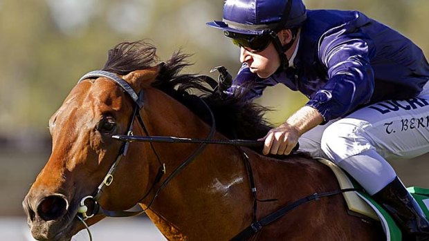 Free-fire zone: Golden Rose hopeful War and Tommy Berry.